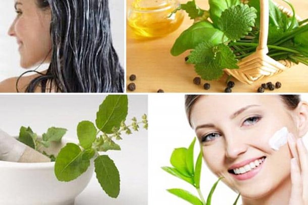 تاثیر گیاهان مفید برای سلامت پوست و مو